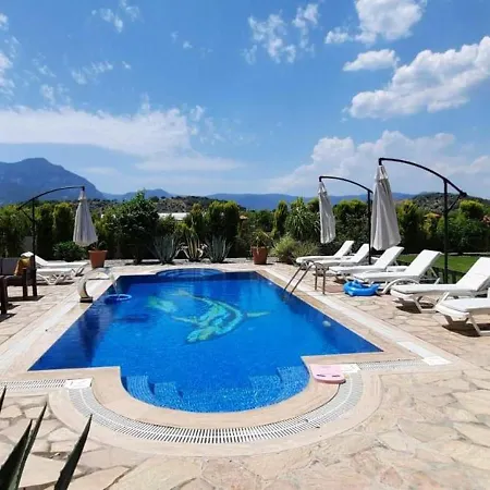 4 Bedroom In Dalyan With Nature View موجلا