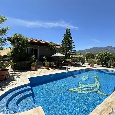 Vilă 4 Bedroom In Dalyan With Nature View Muğla